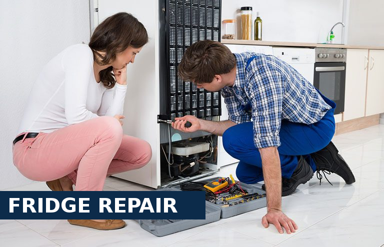 Fridge Repair Foots Cray